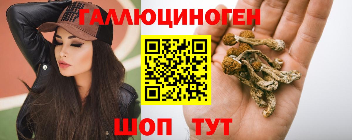 Ржев  Псилоцибиновые грибы Cubensis  Вход с VPN  Галлюциногенные грибы Magic Shrooms 