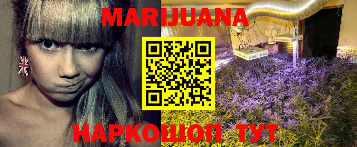 Конопля AK-47  Конопля конопля  Ржев  Каннабис индика  Вход с VPN  Бошки марихуана марихуана 